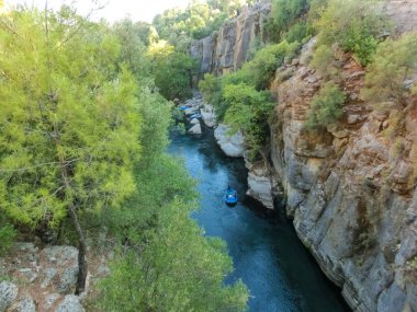 Kemer Antalya 'daki Kuzdere Kanyonu' ndaki yeşil ağaçlar