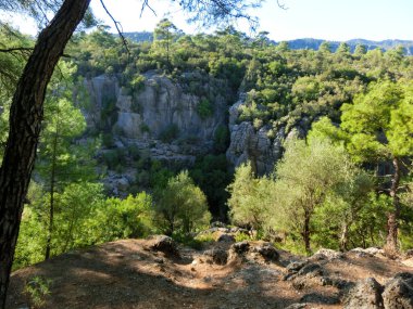 Kemer Antalya 'daki Kuzdere Kanyonu' ndaki yeşil ağaçlar