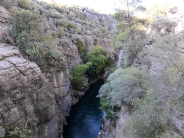 Kemer Antalya 'daki Kuzdere Kanyonu' ndaki yeşil ağaçlar