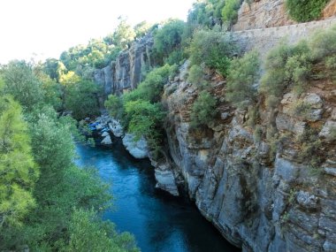Kemer Antalya 'daki Kuzdere Kanyonu' ndaki yeşil ağaçlar