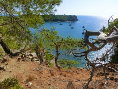 Antik Lycian şehri Phaselis 'teki taş plajı manzarası. Tarihi bir yer. Yerel nüfusun yeniden yaratılacağı yer.