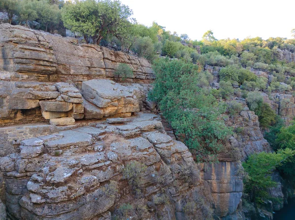 Árboles Verdes Kuzdere Canyon Kemer Antalya Turquía —  Fotos de Stock