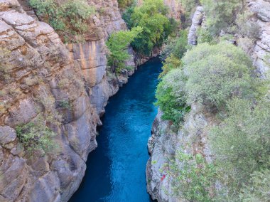 Kemer Antalya 'daki Kuzdere Kanyonu' ndaki yeşil ağaçlar