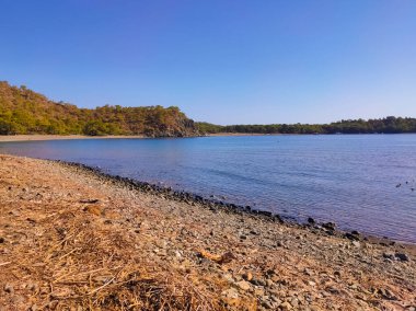 Antik Lycian şehri Phaselis 'teki taş plajı manzarası. Tarihi bir yer. Yerel nüfusun yeniden yaratılacağı yer.