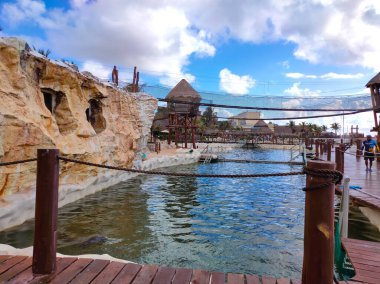 Costa Maya, Meksika. 24 Nisan 2022: Costa Maya yolcu gemisi terminali veya limanında yunus aryumu. Ziyaretçiler için mükemmel bir yer. Mükemmel bir tropikal cennet..