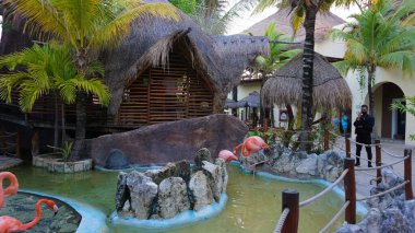 Costa Maya, Meksika - 24 Nisan 2022 Costa Maya yolcu gemisi terminalinde dinlenen insanlar tüm ziyaretçiler için mükemmel bir yerdir.