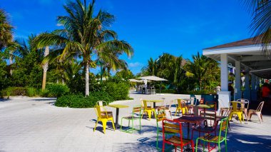 Ocean Cay, Bahamas - 29 Nisan 2022 Ocean Cay Bahamas Adası 'ndaki plaj palmiye ağaçları ve tropik arkaplanlı