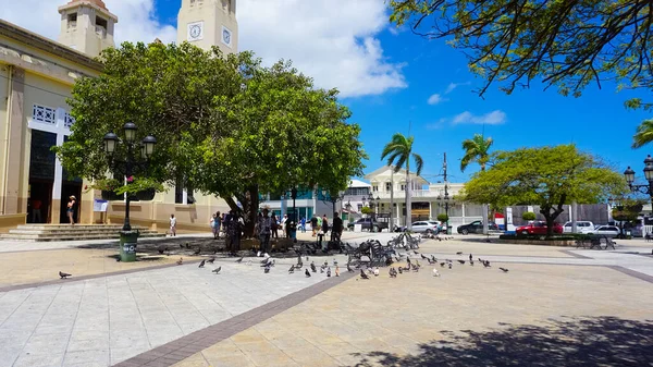 Puerto Plata Maggio 2022 Bellissimo Central Park Pezzo Centrale Della — Foto Stock