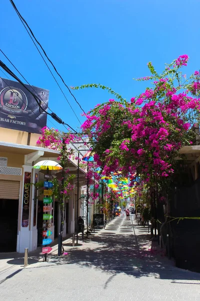 Пуэрто Плата Доминиканская Республика Мая 2022 Года Местная Жительница Улице — стоковое фото