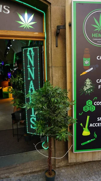 捷克共和国布拉格 2022年5月11日 商店入口处的大麻灌木 — 图库照片