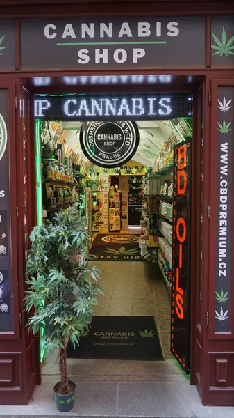 Praga República Checa Mayo 2022 Arbusto Cannabis Entrada Tienda — Foto de Stock