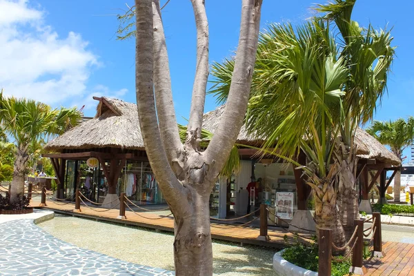 Puerto Plata, DR - 10 Ocak 2022: Puerto Plata, Dominik Cumhuriyeti 'ndeki Taino Koyu yolcu gemisinden alışveriş.