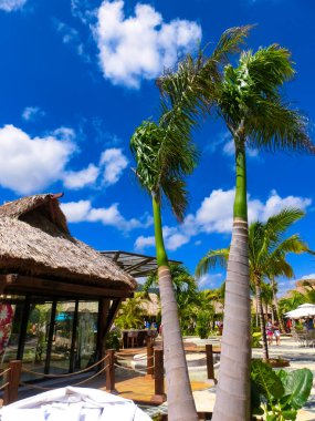 Puerto Plata, DR - 10 Ocak 2022: Puerto Plata, Dominik Cumhuriyeti 'ndeki Taino Koyu yolcu gemisinden alışveriş.