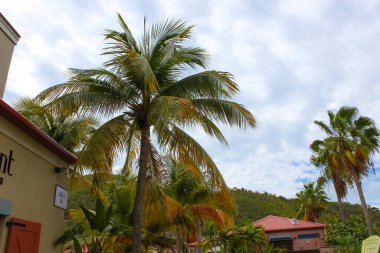 Charlotte Amalie, ABD Virgin Adaları - 4 Mayıs 2022 Charlotte Amalie alışveriş bölgesi