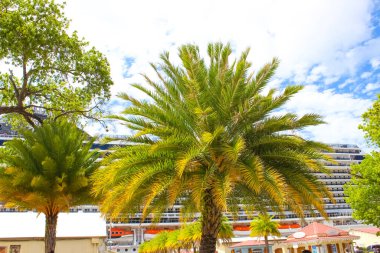 Charlotte Amalie, ABD Virgin Adaları - 4 Mayıs 2022 Charlotte Amalie alışveriş bölgesi