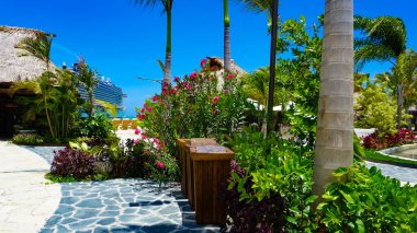 Puerto Plata, DR - 10 Ocak 2022: Puerto Plata, Dominik Cumhuriyeti 'ndeki Taino Koyu yolcu gemisinden alışveriş.