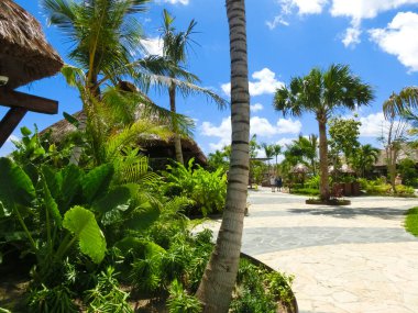 Puerto Plata, DR - 10 Ocak 2022: Puerto Plata, Dominik Cumhuriyeti 'ndeki Taino Koyu yolcu gemisinden alışveriş.