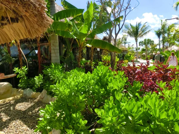 Puerto Plata 2022 Január Shops Cruise Ship Port Taino Bay — Stock Fotó