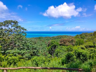 Sabahın erken saatlerinde Roatan Honduras 'ta tropikal bir plajın hava görüntüsü..