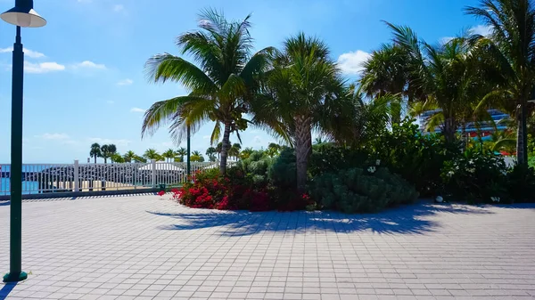 Plage Sur Ocean Cay Bahamas Island Avec Palmiers Arrière Plan — Photo