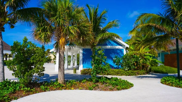 Strand Ocean Cay Bahamas Island Med Färgglada Hus Och Tropisk — Stockfoto
