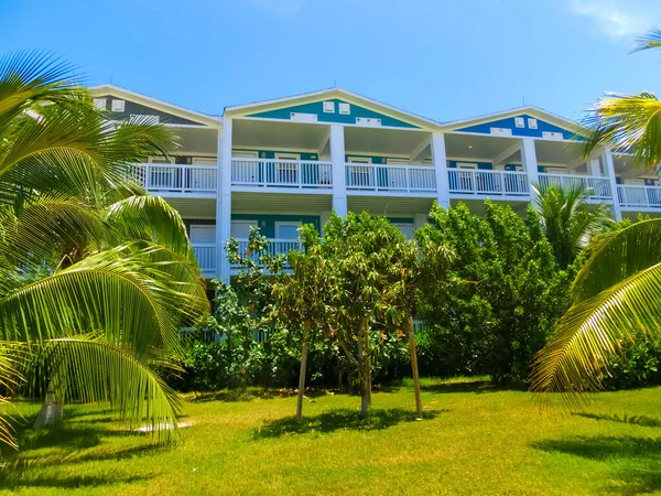 Strand Ocean Cay Bahama Eiland Met Kleurrijke Huizen Tropische Achtergrond — Stockfoto