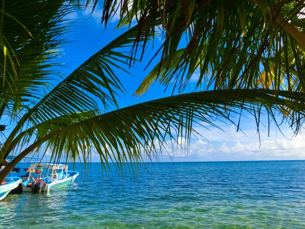Vista Una Playa Tropical Roatán Honduras Temprano Mañana — Foto de Stock