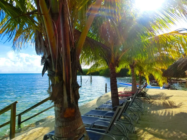 Uitzicht Een Tropisch Strand Roatan Honduras Vroeg Morgen — Stockfoto