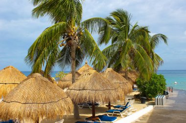 Puerta Maya manzarası - Meksika 'da Cozumel' de mavi Karayip sularıyla kıyı şeridi