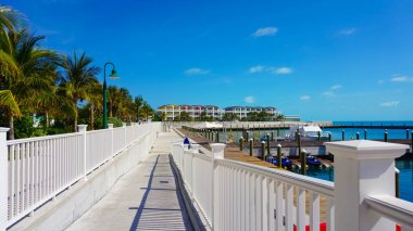 Okyanus kıyısındaki sahil. Bahamalar adası. Palmiye ağaçları ve tropik bir geçmişi var.