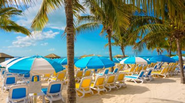 Cococay manzarası, Bahamalar 'daki ada, misafirlerin günü eğlenerek geçirdiği yer..