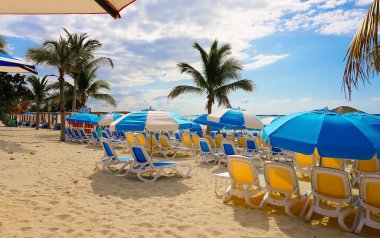 Cococay manzarası, Bahamalar 'daki ada, misafirlerin günü eğlenerek geçirdiği yer..