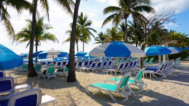 Cococay manzarası, Bahamalar 'daki ada, misafirlerin günü eğlenerek geçirdiği yer..