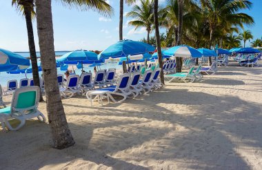 Cococay manzarası, Bahamalar 'daki ada, misafirlerin günü eğlenerek geçirdiği yer..