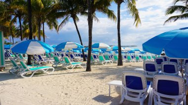 Cococay manzarası, Bahamalar 'daki ada, misafirlerin günü eğlenerek geçirdiği yer..