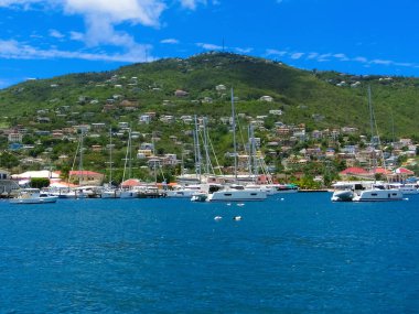 St. Thomas, USVI. ABD Virgin Adalarından birinde yeşil kıyı şeridi görüntüsü.