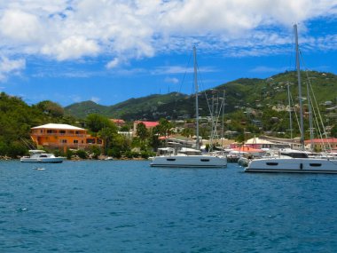 St. Thomas, USVI. ABD Virgin Adalarından birinde yeşil kıyı şeridi görüntüsü.