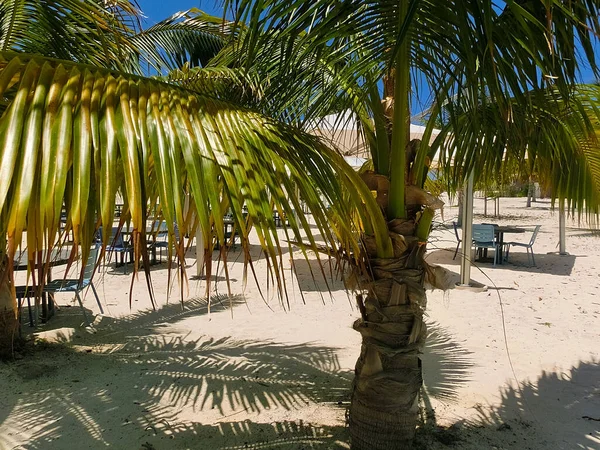 Λευκή Αμμουδιά Στο Νησί Ocean Cay Στις Μπαχάμες Γαλάζια Νερά — Φωτογραφία Αρχείου