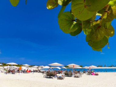 Bahamalar 'daki Ocean Cay adasındaki plajda dinlenen insanlar. Mavi su ve beyaz kum