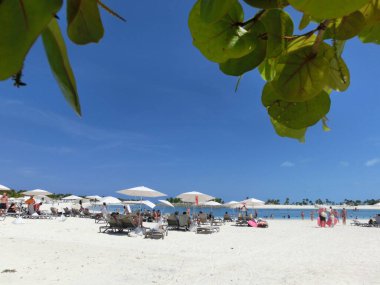 Bahamalar 'daki Ocean Cay adasındaki plajda dinlenen insanlar. Mavi su ve beyaz kum