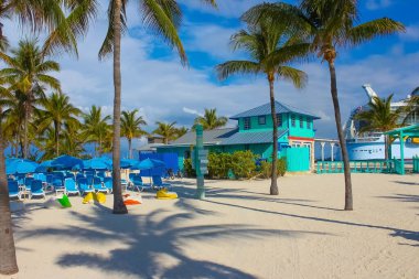 Cococay manzarası, Bahamalar 'daki ada, misafirlerin günü eğlenerek geçirdiği yer..