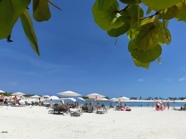 Bahamalar 'daki Ocean Cay adasındaki plajda dinlenen insanlar. Mavi su ve beyaz kum