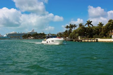 Miami, ABD - 23 Nisan 2022: Miami, Florida ABD 'deki Bayside Marina' da lüks yatlar