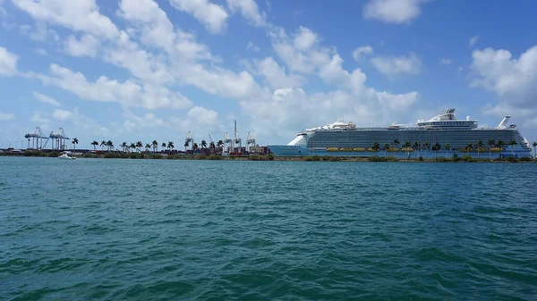 Miami Florida Usa April 2022 Port Miami Cruise Ships Miami — Stockfoto