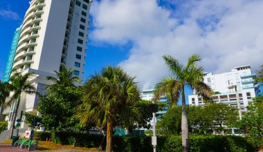 Miami, USA - April 24, 2022: Modern apartment buildings with palm trees at Avenue at Miami, Usa