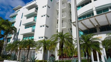Miami, ABD - 24 Nisan 2022: Miami, Usa 'da palmiye ağaçları olan modern apartmanlar