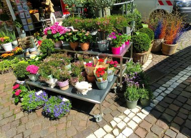 Frankfurt am Main, Almanya - 10 Mayıs 2022: küçük bir çiçekçiye giriş