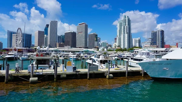 Miami Usa April 2022 Luxury Yachts Bayside Marina Miami Florida — Foto Stock