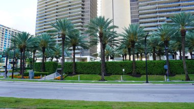 Miami, ABD - 24 Nisan 2022: Miami, Usa 'da palmiye ağaçları olan modern apartmanlar