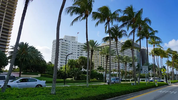 Miami Usa April 2022 Modern Apartment Buildings Palm Trees Avenue — 스톡 사진